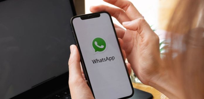 WhatsApp : présentation et utilisation pour votre entreprise