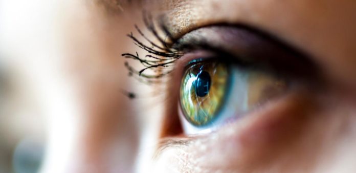 Eye tracking : définition et utilisation