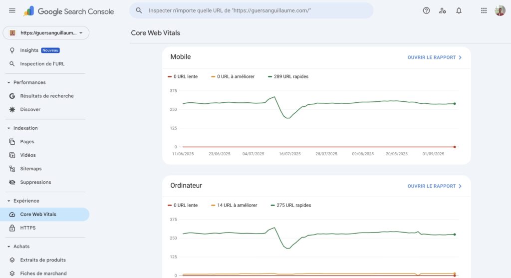 La performance technique : Core Web Vitals