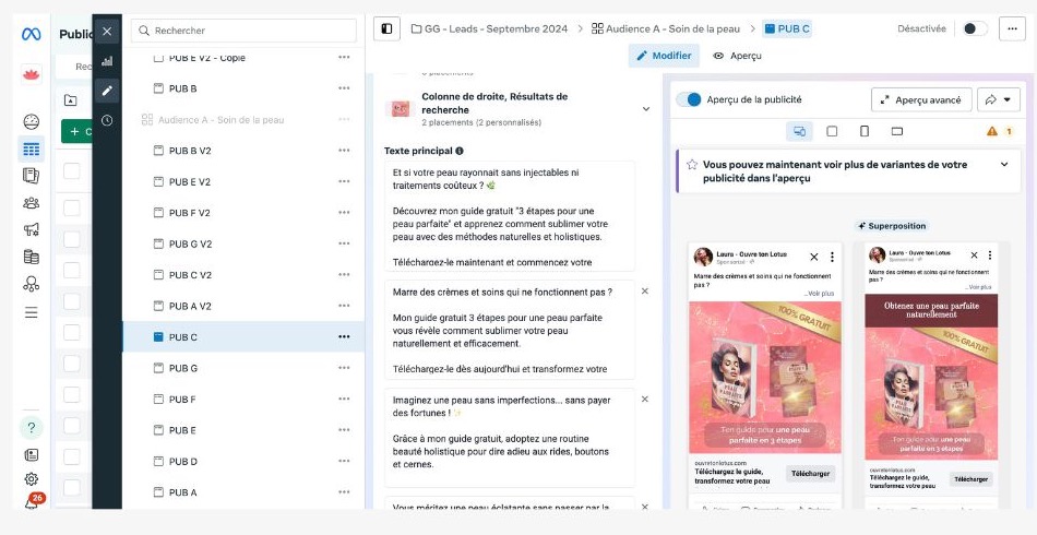 Publicités Meta Ads pour un guide gratuit de conseils beauté